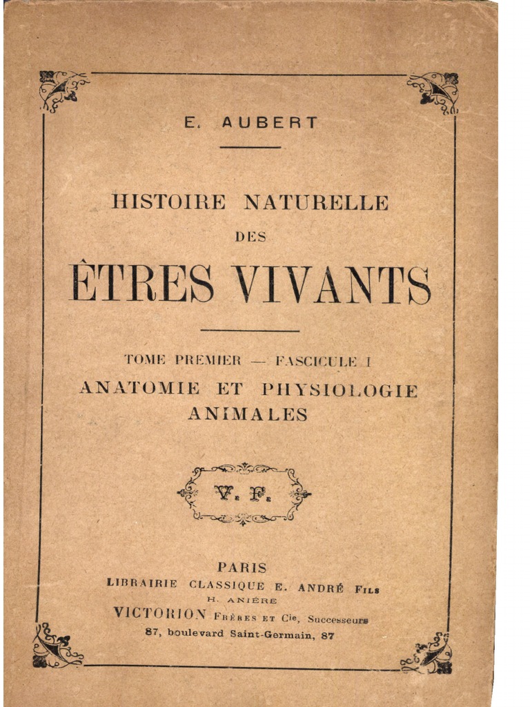 flèche de lit aubert