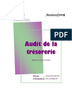 Audit_de_la_trésorerie