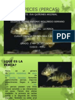 Los Peces (Percas)