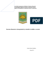 Structura Financiară A Întreprinderii Şi Criteriile de Stabilire A Acesteia