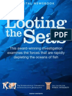 Looting The Seas