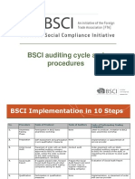  Bsci Auditing Cycle 