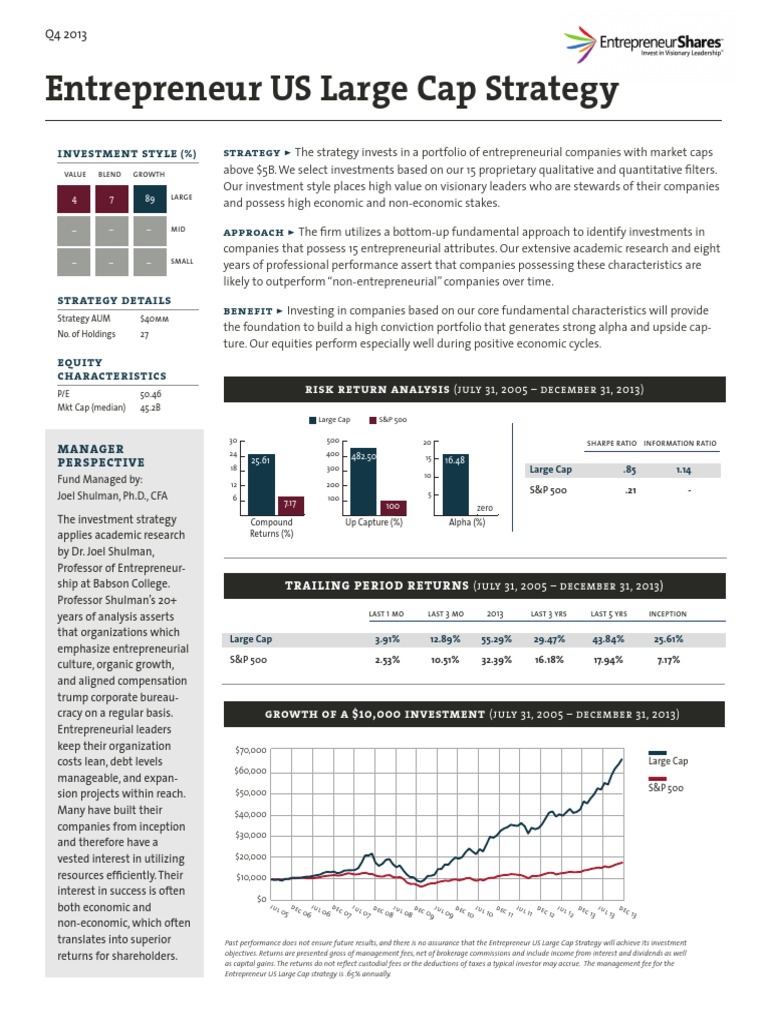 Entrepreneur US Large Cap Investment Strategy | PDF | Entrepreneurship ...