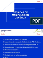 Tema 11 Biologia Molecular