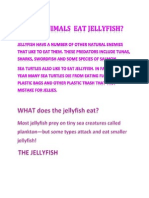 Which Animals Eat Jellyfish