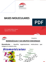 Bases Moleculares