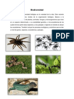 Biodiversidad Piramides de Calix