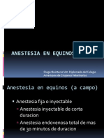 Anestesiologia en Equinos