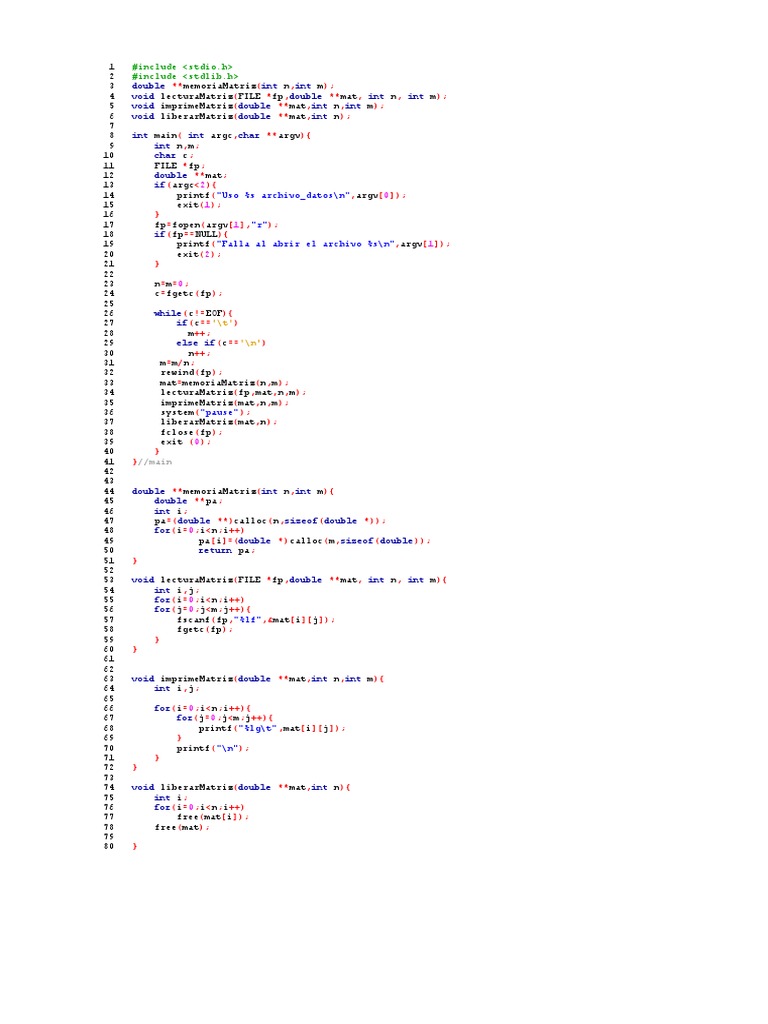 Dynamic Matrix Handling in C | PDF