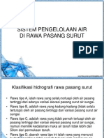 Sistem Pengelolaan Air Di Lahan Rawa Pasang Surut