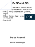 Dental Anatomi 