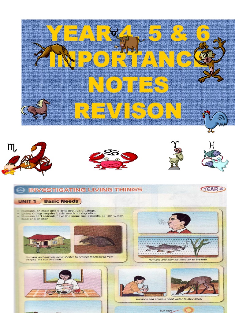 YEAR 4, 5 & 6 Importance Notes Revison | PDF