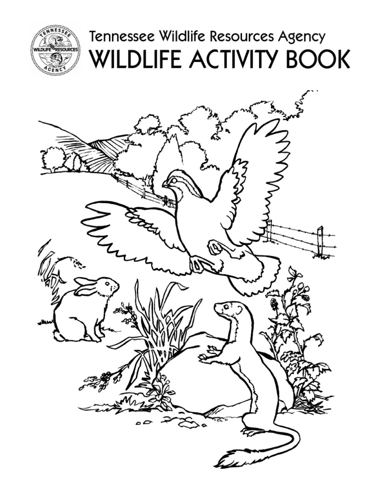 Coloring Book | Hunting | Wildlife