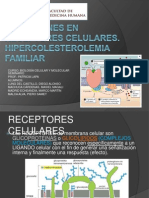 Desordenes en Receptores Celulares