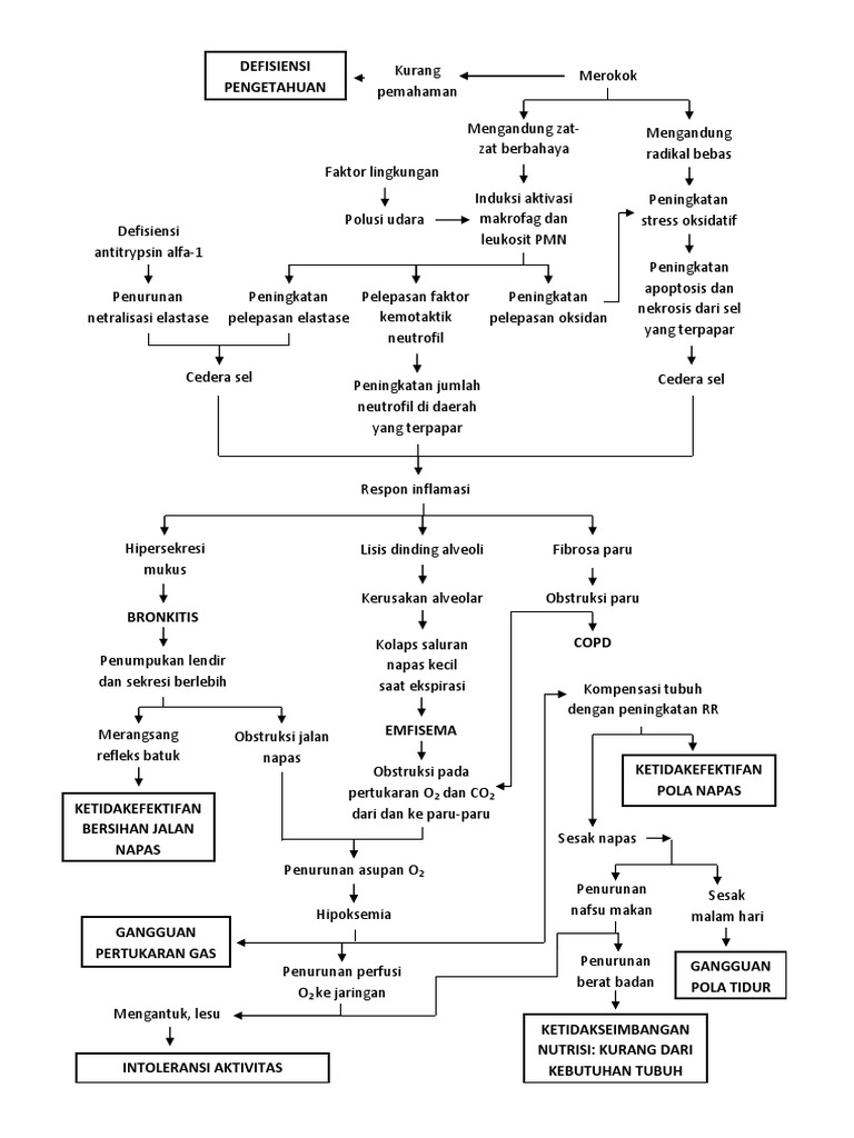 Pathway COPD dan Emfisema Lengkap | PDF