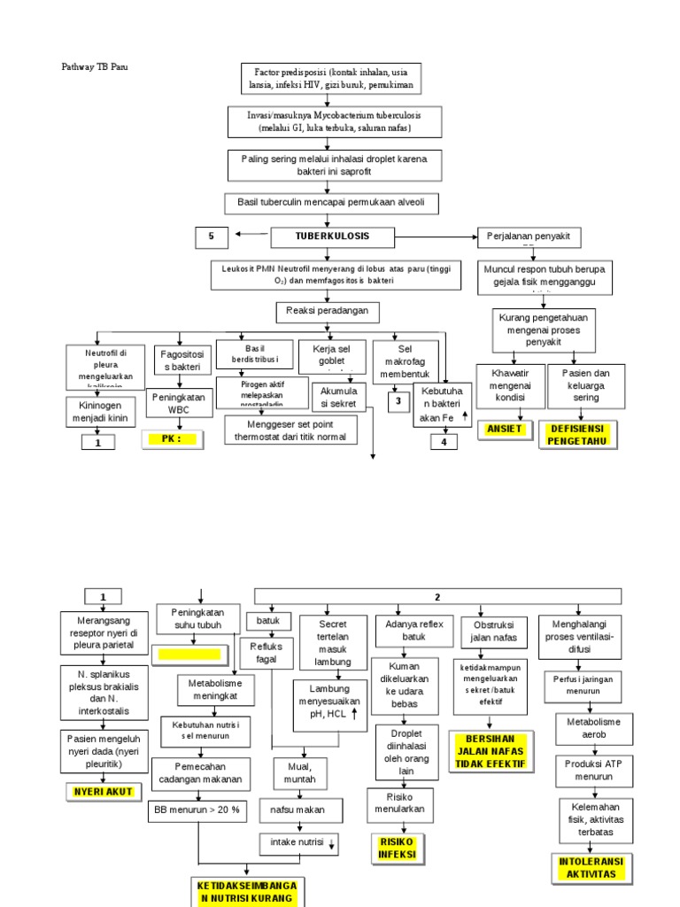 Pathway Tuberculosis | PDF | Kesehatan Holistik | Sains & Matematika