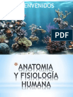 2. Anatomia