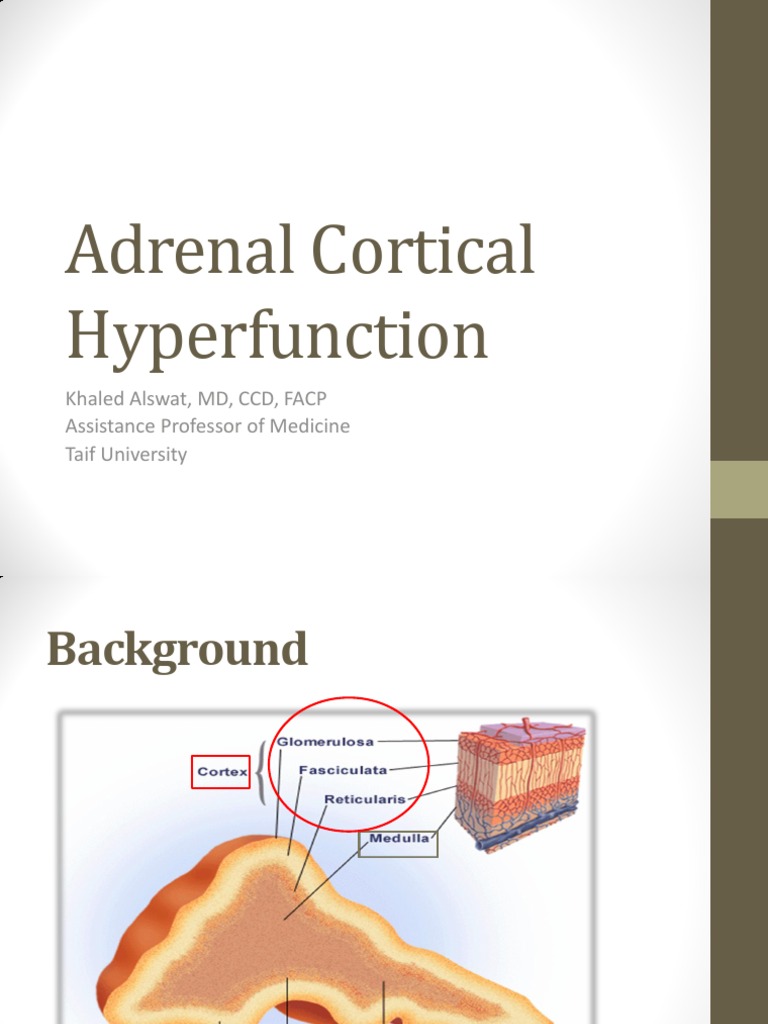 Adrenal Cortical Hyperfunction Adrenal Gland Endocrine System