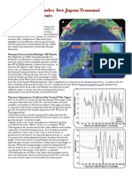 Tsunami NewsArticle