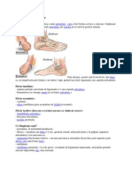 Cite Ceva Despre Entorse