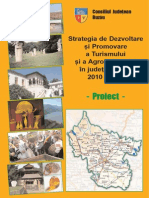 Strategie Turism 2010 BUZAU