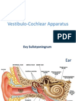 Vestibulo Cochlear ApparatusNew