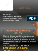 Cancer Intestinal Patologia Upsjb-2013 Seminario