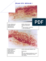 Kumpulan Foto Histo & Keterangan