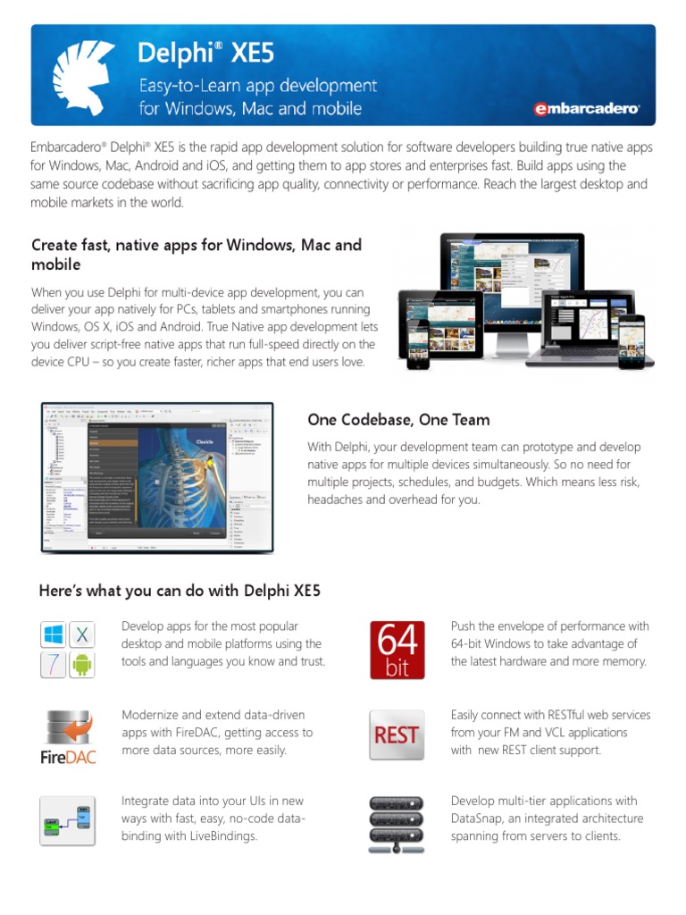 Delphi Datasheet | PDF | Mobile App | Ios