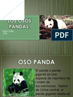 Los Osos Pandas