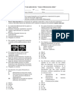 Prueba IV Electivo