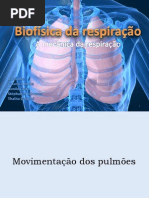 Seminario Biofísica da respiraçao