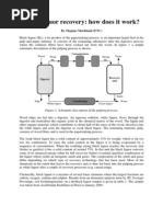 Black Liquor Properties and Evaporation | PDF | Heat Transfer | Steam