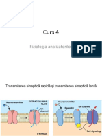 Curs 4 PDF