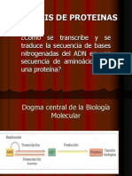 Sintesis de Proteinas