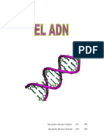 elcidodesoxirribonucleico-100330173828-phpapp01.doc
