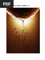 FECUNDAÇÃO ATÉ  OITAVA SEMANA