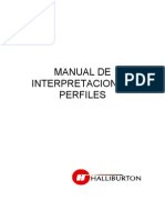 Manual de Interpretacion de Perfiles