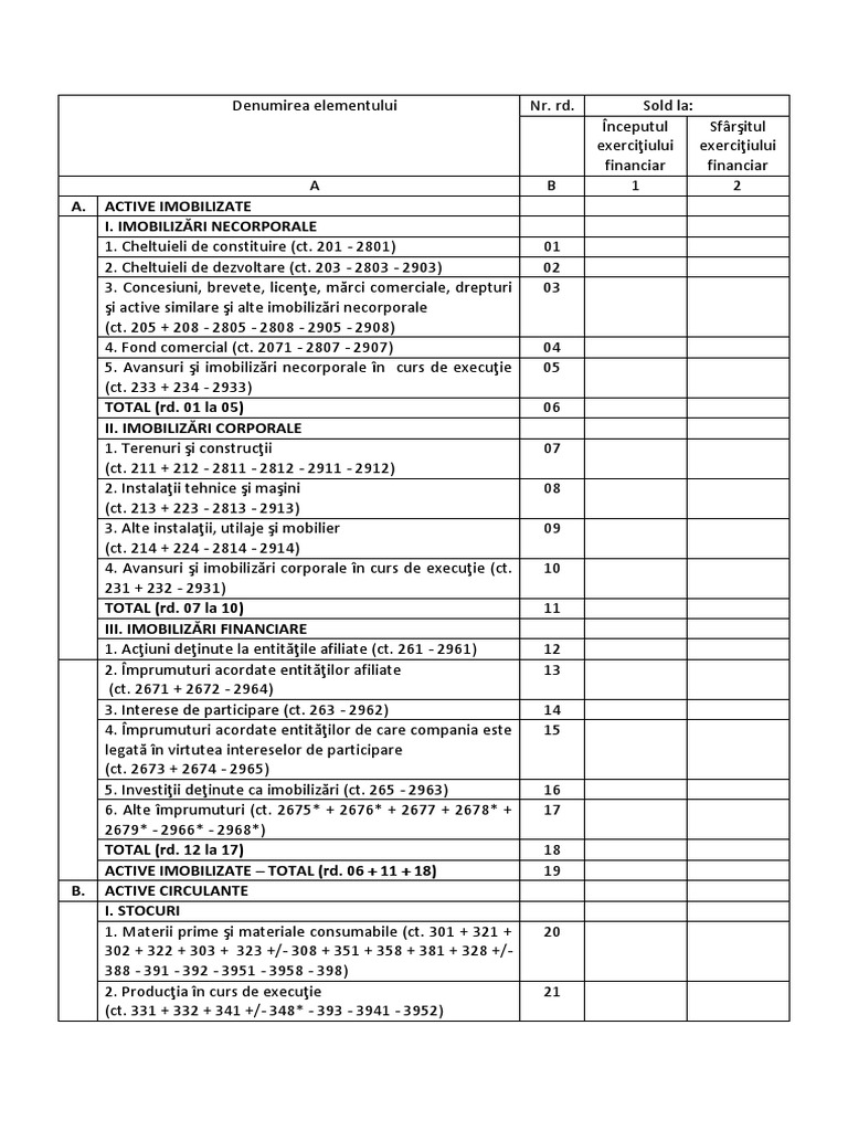 Bilant Formular 10 Word | PDF