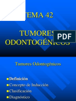 TEMA42TUMODONT (1)