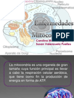 Enfermedades Mitocondriales Seminario 3 de Bioquimica