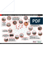 Infografía: Lomas de Carabayllo y Sus Principales Problemas de Contaminación Ambiental