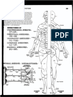 Cns 0011