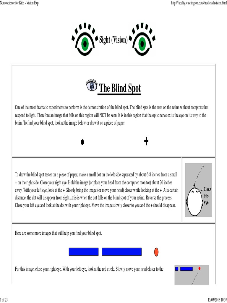 Discovering Your Eye's Blind Spot | PDF | Eye | Retina