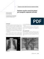 Anatomia Vascular Pilmonar