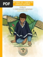 Decreto Pueblos Indigenas
