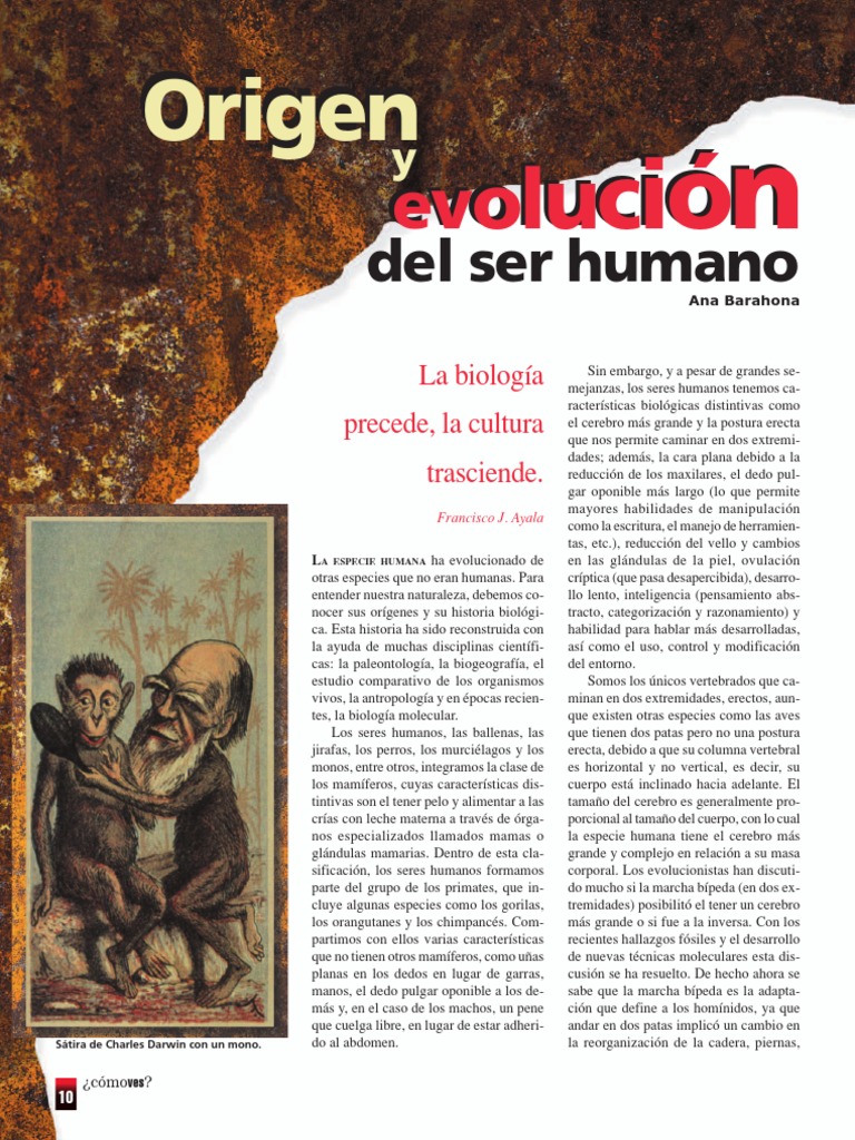 Origen y evolución del ser humano | PDF | Homo | neanderthal