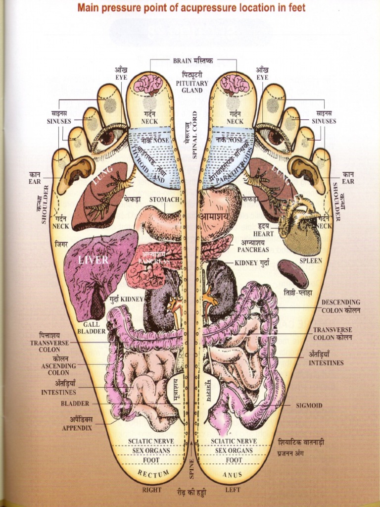 Acupressure Chart PDF