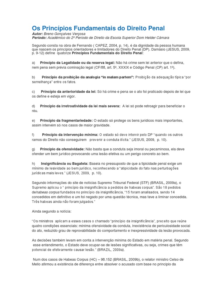 Os Princípios Fundamentais Do Direito Penal Pdf Direito Penal
