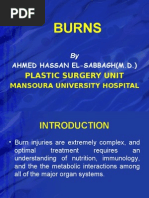 Download Burn Mangement by brhomzalat SN21770224 doc pdf